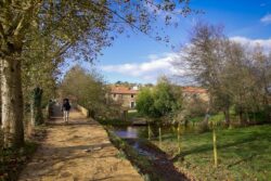 Arzua albergue de ribadiso